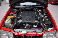 DSC_0120_(Large)1.JPG