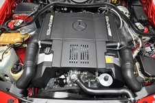 DSC_0123_(Large)1.JPG