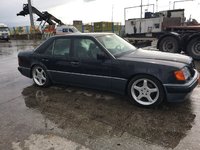 IMG_0876.JPG