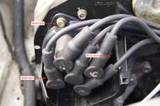 Distributor cap bolts.jpg