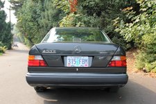 IMG_0293-Large.jpg