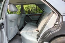 IMG_0309-Large.jpg