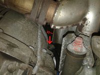 20180303_124825.jpg