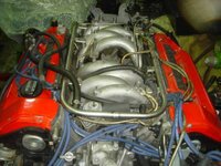 donkingcojp-img600x450-13318953147kw3fh55766.jpg