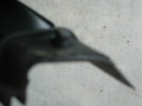 IMG_7871.JPG
