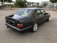 IMG_3561REV.jpg
