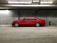 IMG_2350.jpg