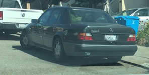 IMG_2444.jpeg