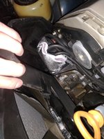 IMG_20190327_214910.jpg