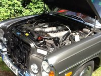 ImageUploadedByTapatalk HD1340288332.293025.jpg