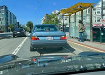 IMG_3284.jpeg