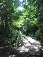 IMG_4040.JPG