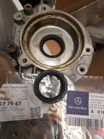 20190729_221629.jpg