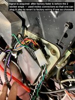 IMG_4053.jpeg