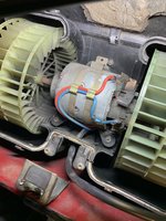 IMG_4857.jpeg