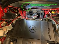 IMG_4875.jpg