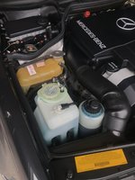 57867679875__8D299B16-6B15-4EF5-BA47-E14879F2C61E.JPG 57867679875__8D299B16-6B15-4EF5-BA47-E14879F2C61E.JPG