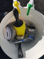 20190929_111913.jpg