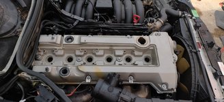 IMG_20191026_160812.jpg