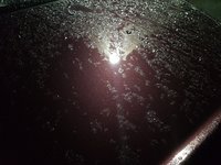 20191226_203746.jpg 20191226_203746.jpg