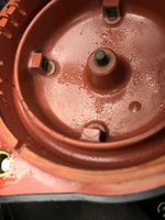 bosch3.jpg