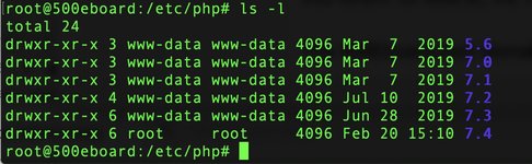 Screen Shot 2020-02-21 at 11.07.10 AM.jpg