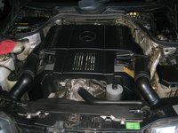 IMG_8579.jpeg