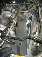 IMG_8593.jpeg