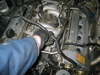 IMG_8674.jpeg IMG_8674.jpeg