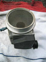 IMG_8731.jpeg