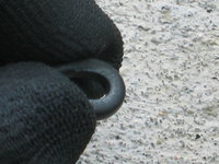 IMG_8744.jpeg