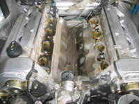 IMG_8776.jpeg