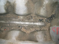 IMG_8790.jpeg