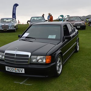 DSC_0319.jpg