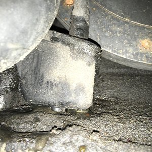 IMG_0894.JPG
