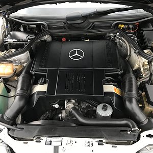 173A1CA5-7D0E-40FC-A2B9-0615DB8F3771.JPG