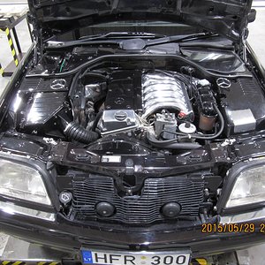 IMG_0338.jpg
