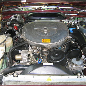 IMG_6977.JPG