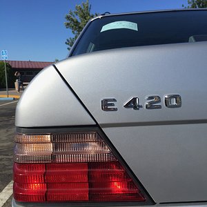 IMG_7285.jpg