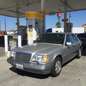 IMG_7282.jpg