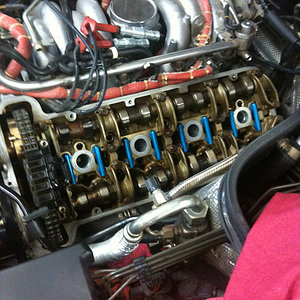 photo(5)-L.jpg