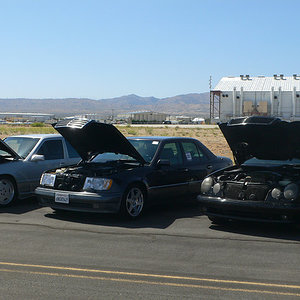 P1030629-L.jpg