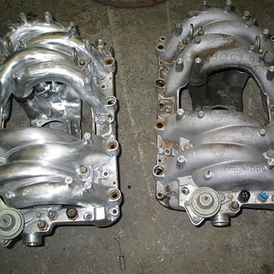 img2220mediumzr4.jpg