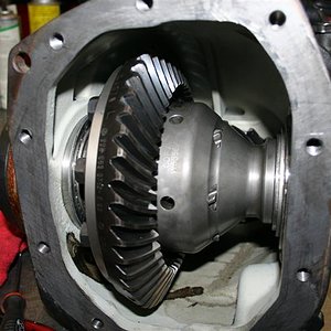 img2608mediumvu2.jpg