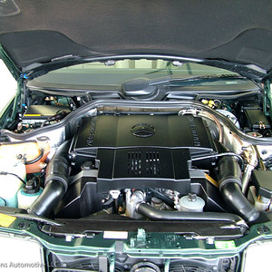DSCF17073.jpg