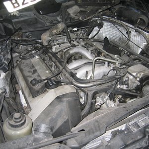 IMG_9894.jpg