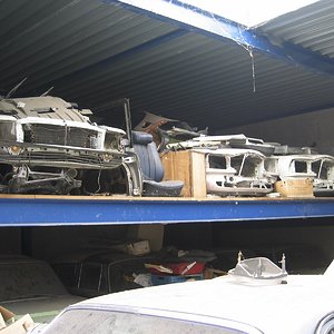 IMG_9848.jpg
