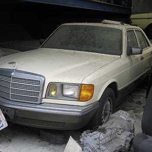 IMG_9850.jpg
