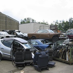 IMG_9829.jpg
