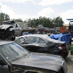 IMG_9822.jpg